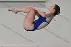 Diving vs Babson  Wheaton College Diving vs Babson College. - Photo By: KEITH NORDSTROM : Wheaton, Diving